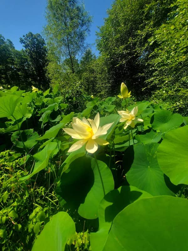 Prairie Garden Trust - Image 1