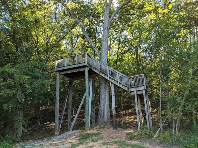 Observation Deck - Image 2