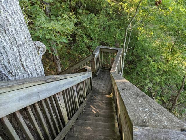 Observation Deck - Image 1