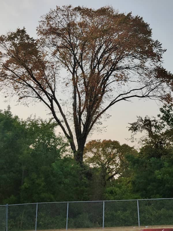 Sam Rayburn Park - Image 2