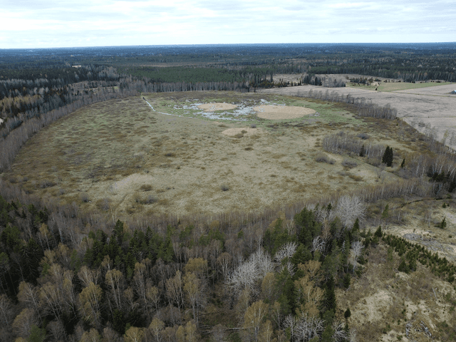 Kanervan luonnonsuojelualue - Image 1