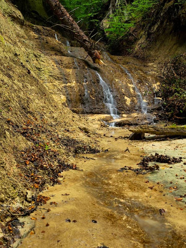 Wasserfall - Image 1