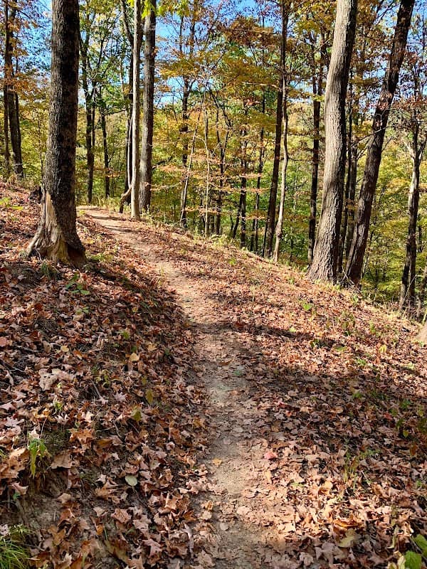 Baileys Trail System - Image 1