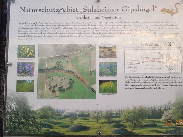 Sulzheimer Gipshügel - Image 1