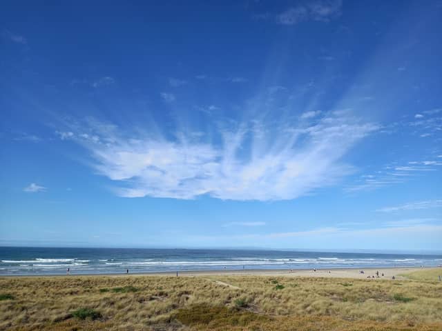 Te Ngaio Reserve - Image 3