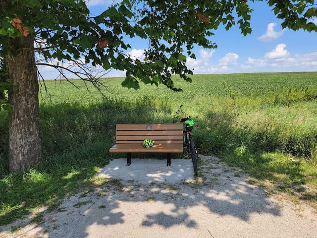 Mikes Bench - Image 2