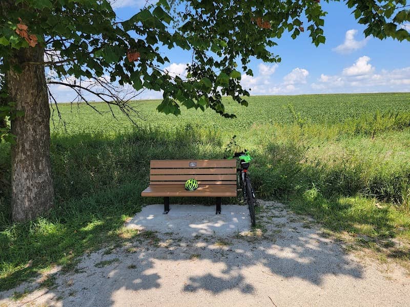 Mikes Bench - Image 2
