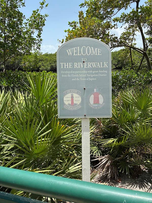 Jupiter river walk - Image 2