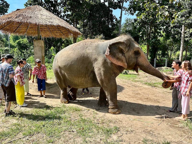 Maerim Elephant Sanctuary - Image 1