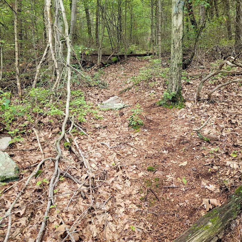 Kettle Hole Trail, Nittany Mtn. Road - Image 1