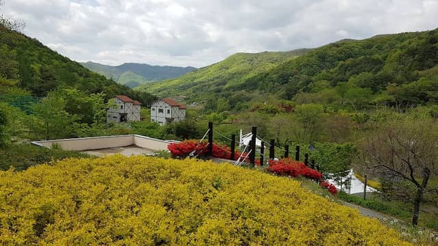 비학산자연휴양림 - Image 1