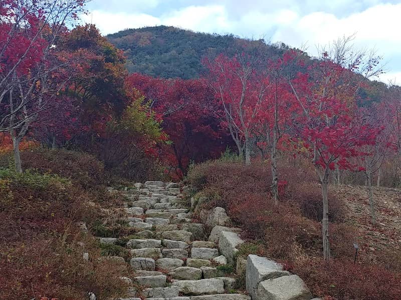 비학산자연휴양림 - Image 2