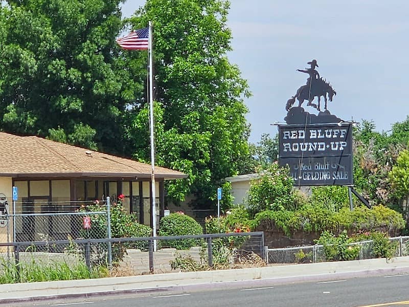 Red Bluff Round-Up - Image 2