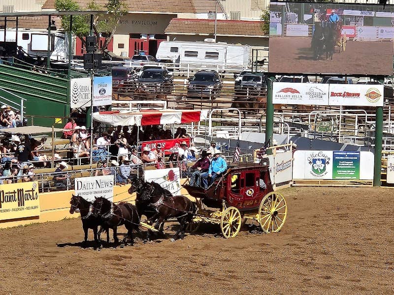 Red Bluff Round-Up - Image 1