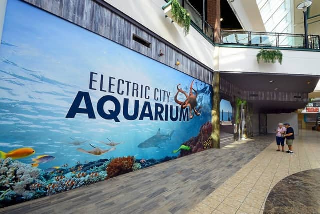 Electric City Aquarium & Reptile Den - Image 2