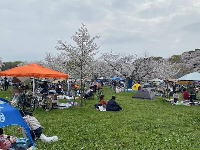 Ōizumi Ryokuchi Sakura Field - Image 2