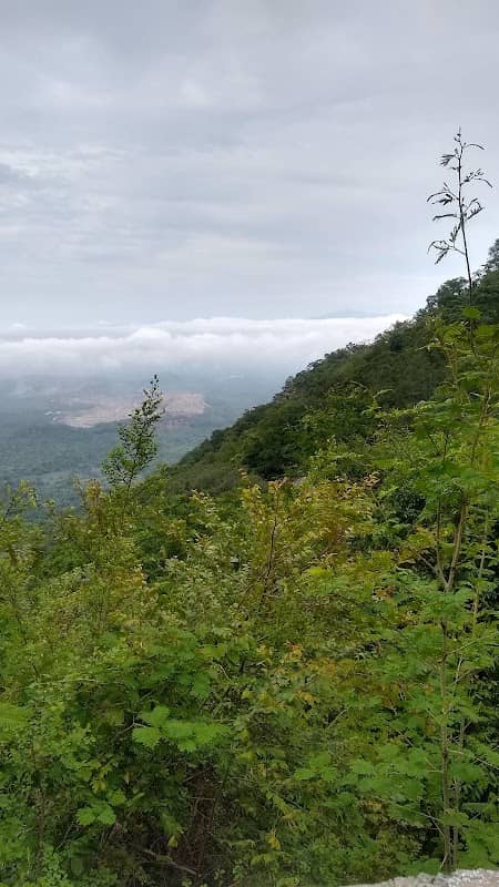 Glen Field View Point - Image 1