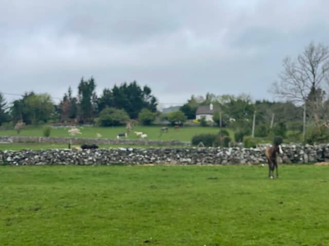 Aughnanure stables - Image 1