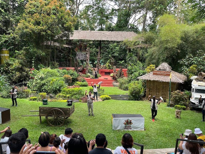 Malagos Bird Show - Image 1
