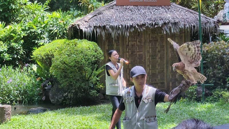 Malagos Bird Show - Image 3