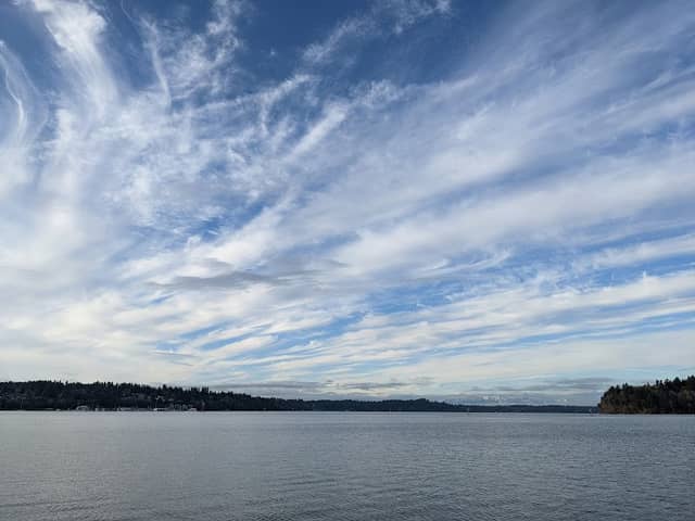 Billy Frank Jr. Park - Image 2