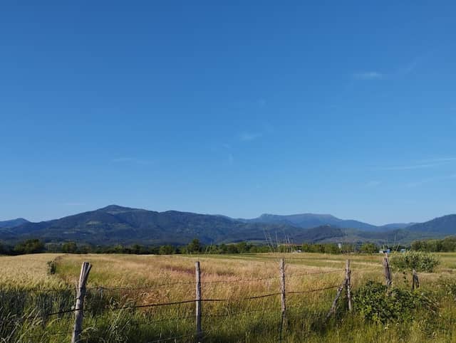 Belvedere - Image 2