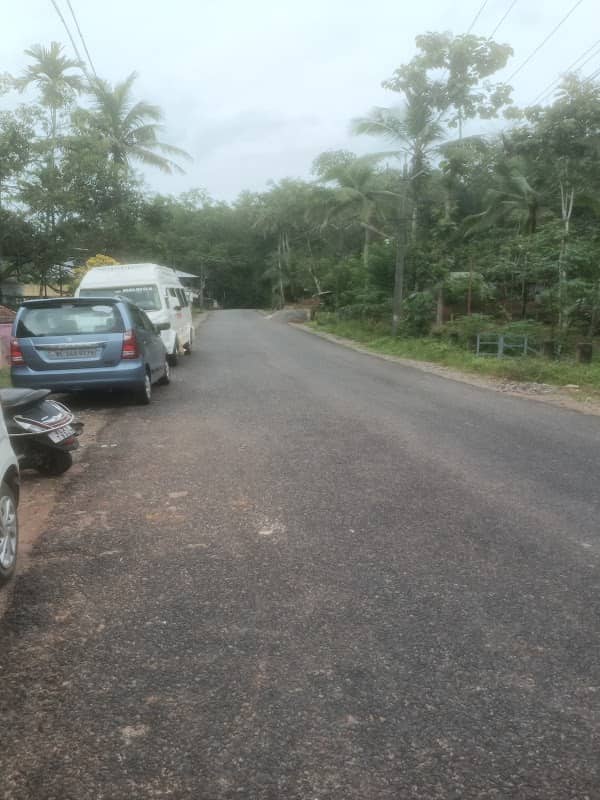 Kuttimoodu Forest (coopil) Photo Point. - Image 1