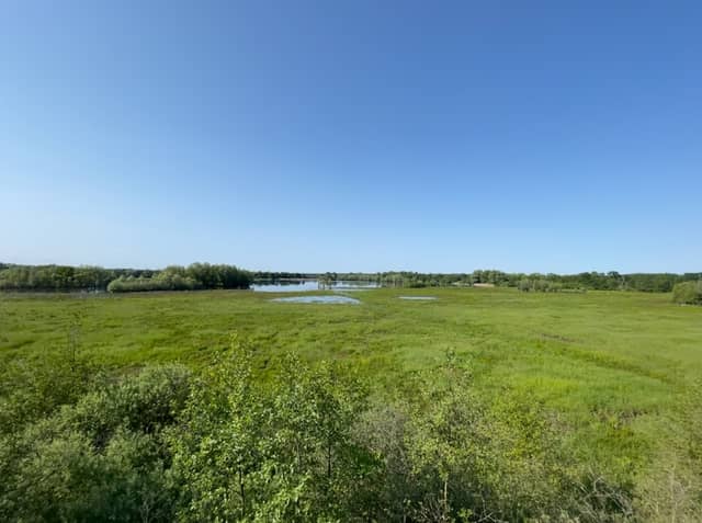 Aussichtsturm Ilkerbruch - Image 1