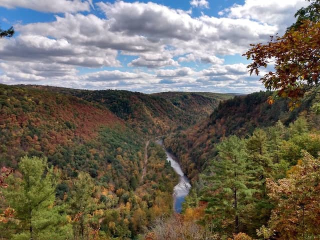 Tioga State Forest Office - Image 3