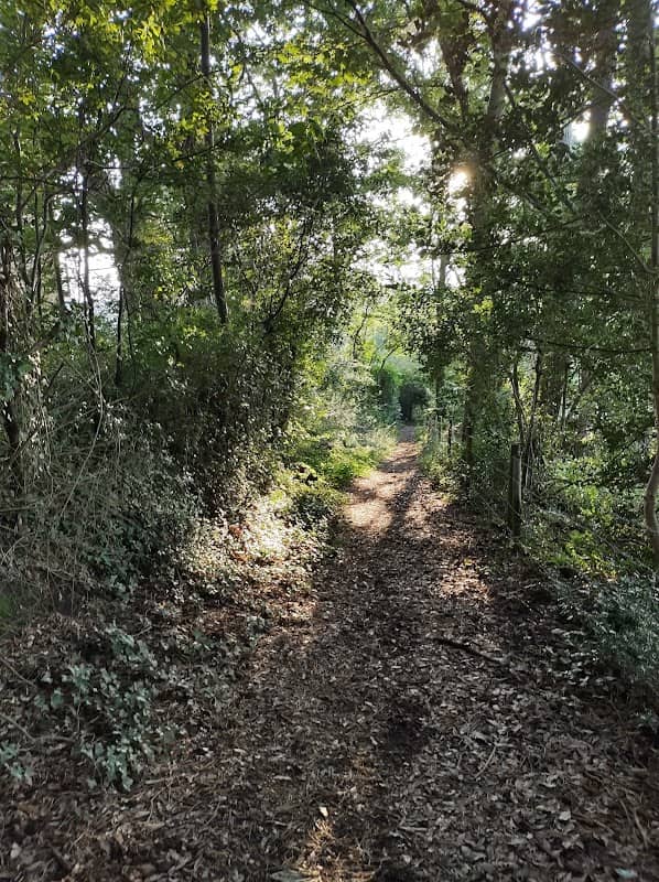 Belvidere Meadows - Image 2