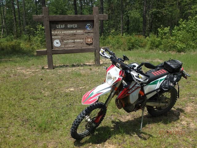 Leaf River State Wildlife Management Area - Image 2