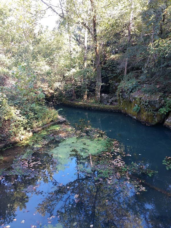 Murfree Spring Wetlands - Image 1