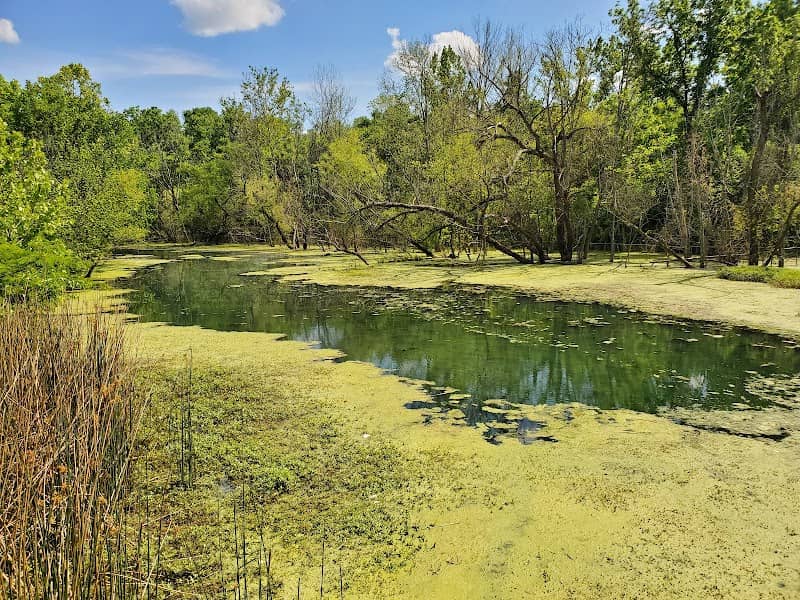Murfree Spring Wetlands - Image 2