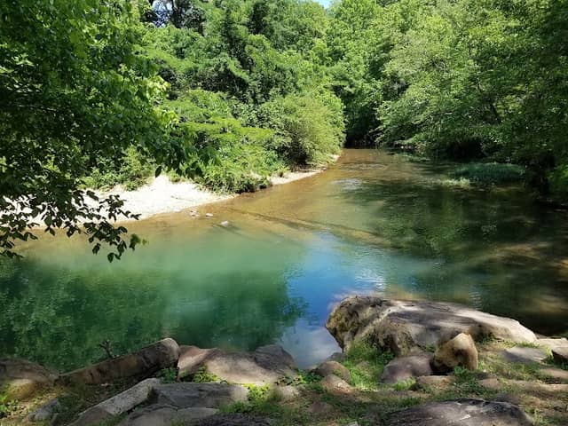 Turkey Creek Nature Preserve - Image 2