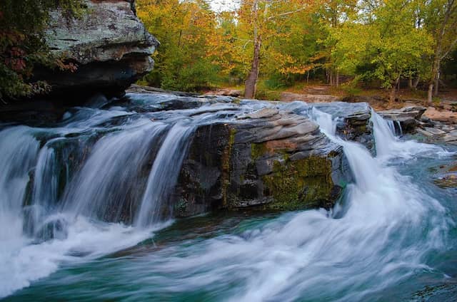 Turkey Creek Nature Preserve - Image 1