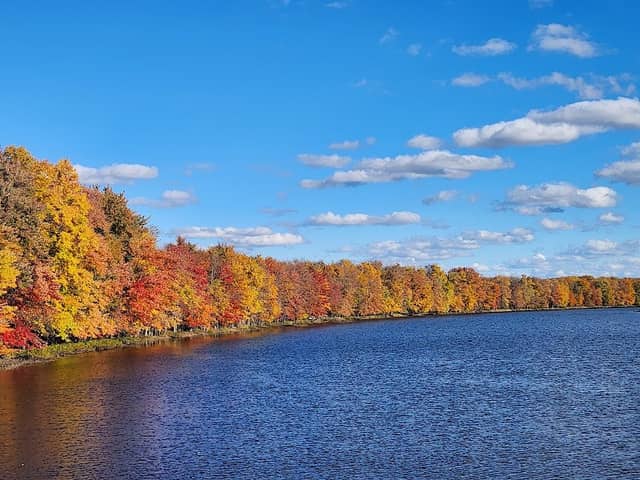 Turning Point Park - Image 2