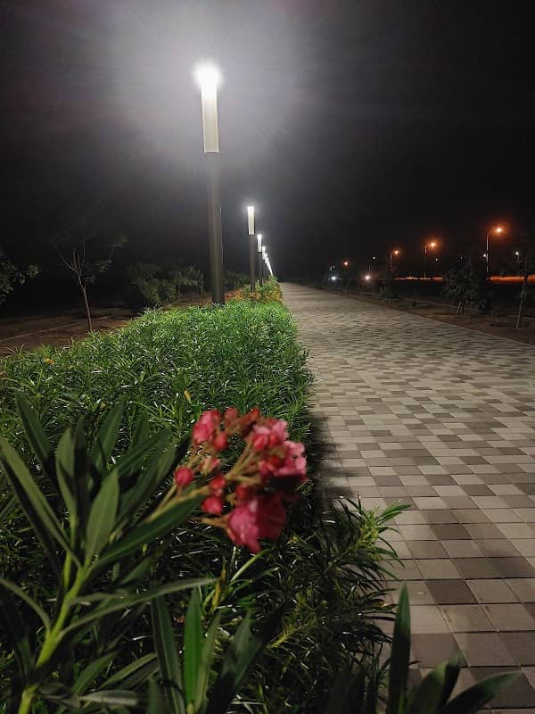Kareeb Walk - Image 1