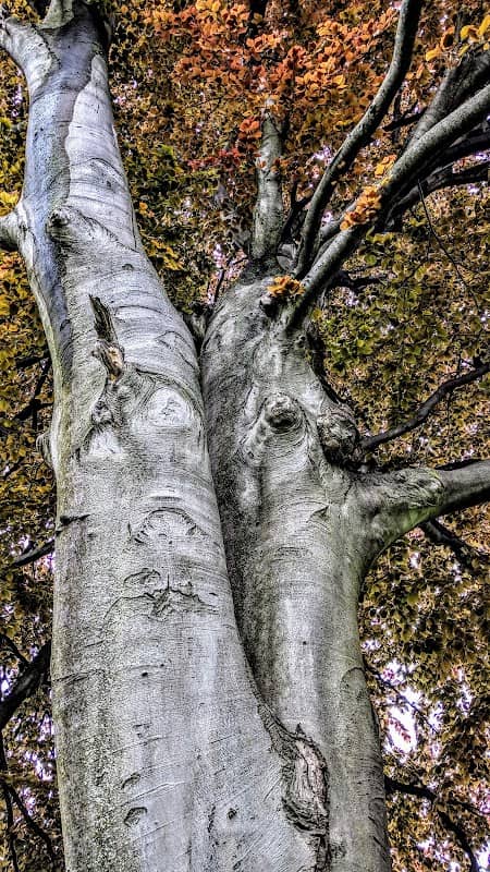 Jim Nelson Park - Image 1
