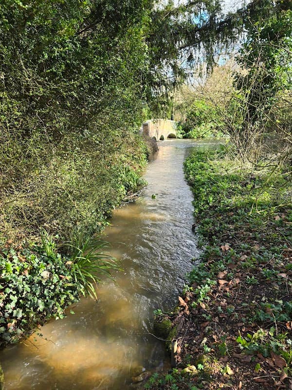 Mottisfont - Image 1