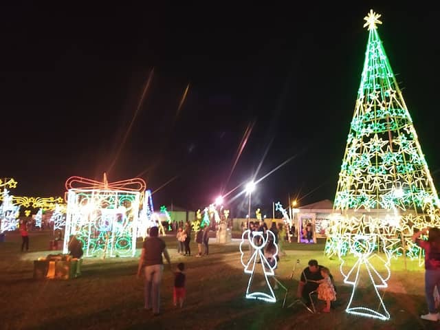 Wine Park - Image 1