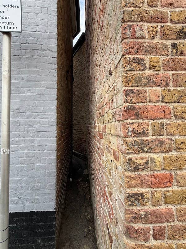 Squeeze Gut Alley - Image 1