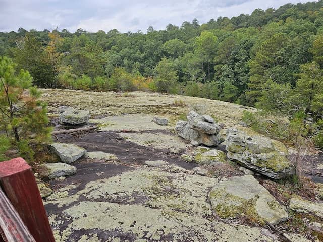 Panola Mountain - Image 1