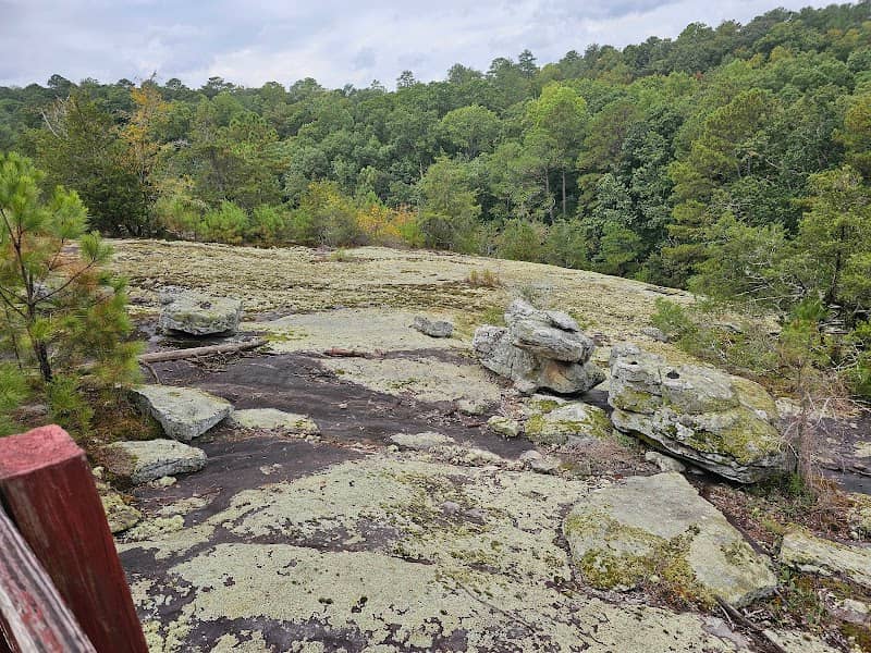 Panola Mountain - Image 1