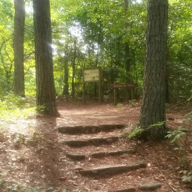 Panola Mountain - Image 2