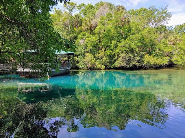 Ellie Schiller Homosassa Springs Wildlife State Park - Image 1