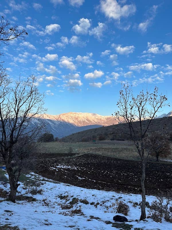 Camping location - Image 1