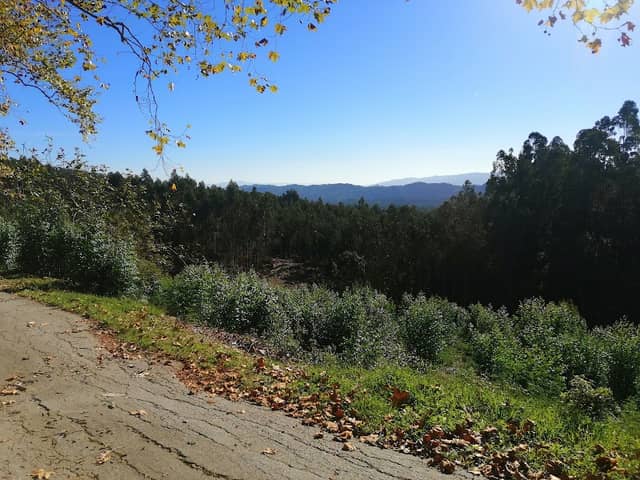 Picnic Park - Image 2
