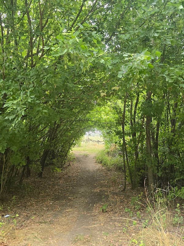 "Túnel Vegetal" - Image 1