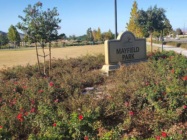 Mayfield Park - Image 3