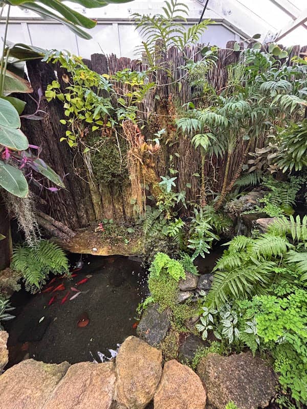 Tropical Greenhouse - Image 2